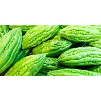 Organic Bitter Gourd